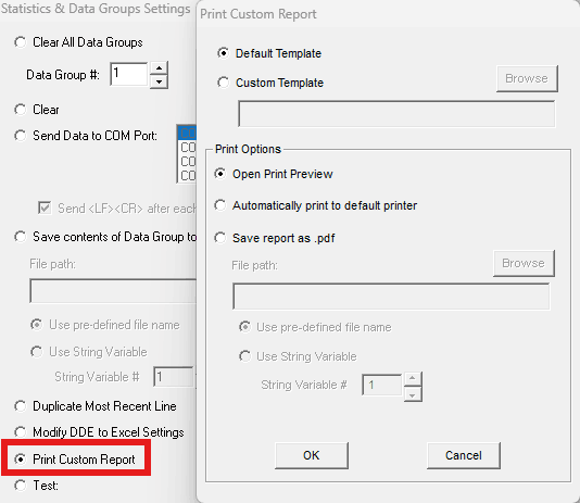 Report Builder to print custom report