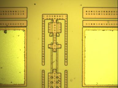 digital photomicrography with VisionGauge image analysis software