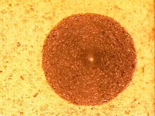 a zoomed in artefact for inspection