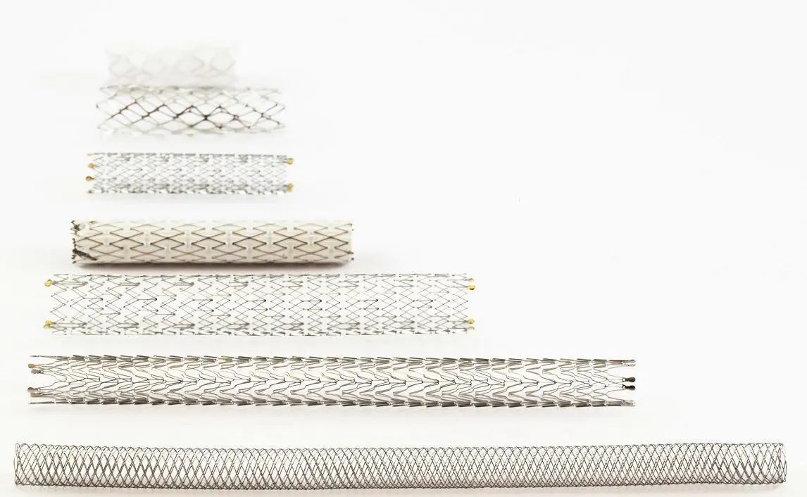 a variety of stents of different lengths and different patterns