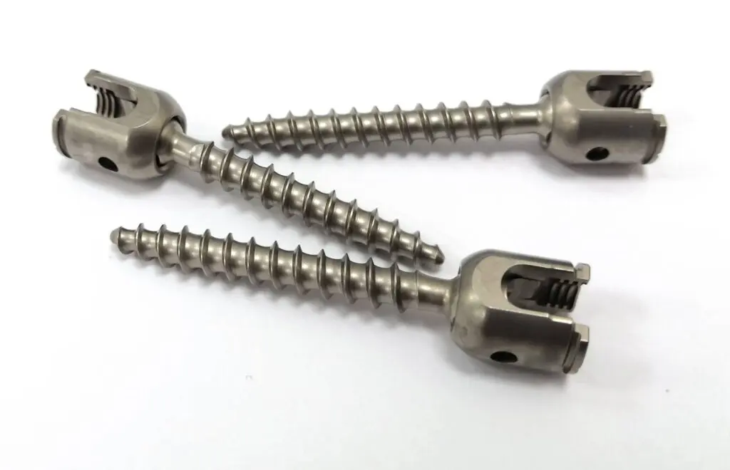 thoracic_lumbar_vertebra_pedicle_screws-1024x660-1