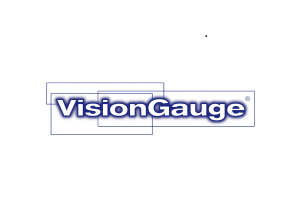 VisionGauge logo