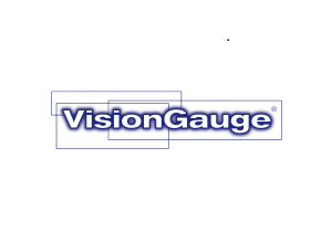 VisionGauge logo