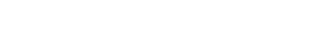 VisionGauge white logo