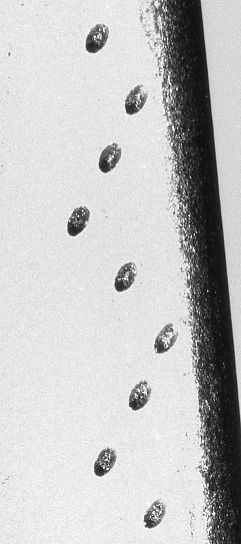 EDM-drilled or Laser-drilled cooling hole measurement and inspection