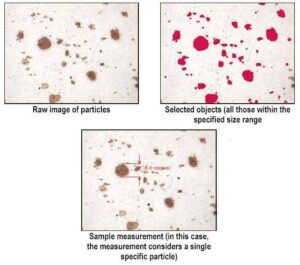 VisionGauge® Counting and Sizing