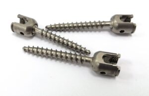 Thoracic lumbar vertebra pedicle screws